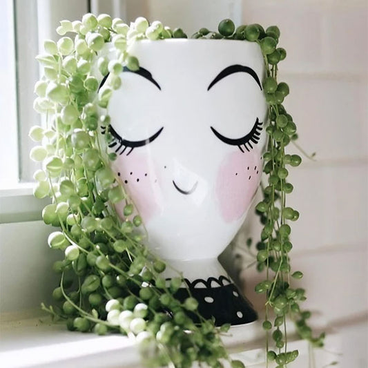 Lady Facepot Planter
