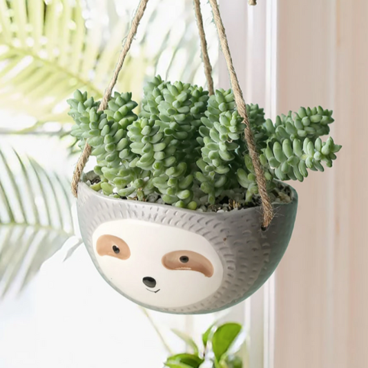 Hanging Sloth Bowl Planter