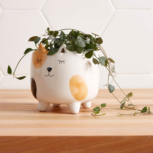 Spotted Cat Planter